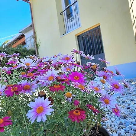 B&B Ca Di Bollo-2
